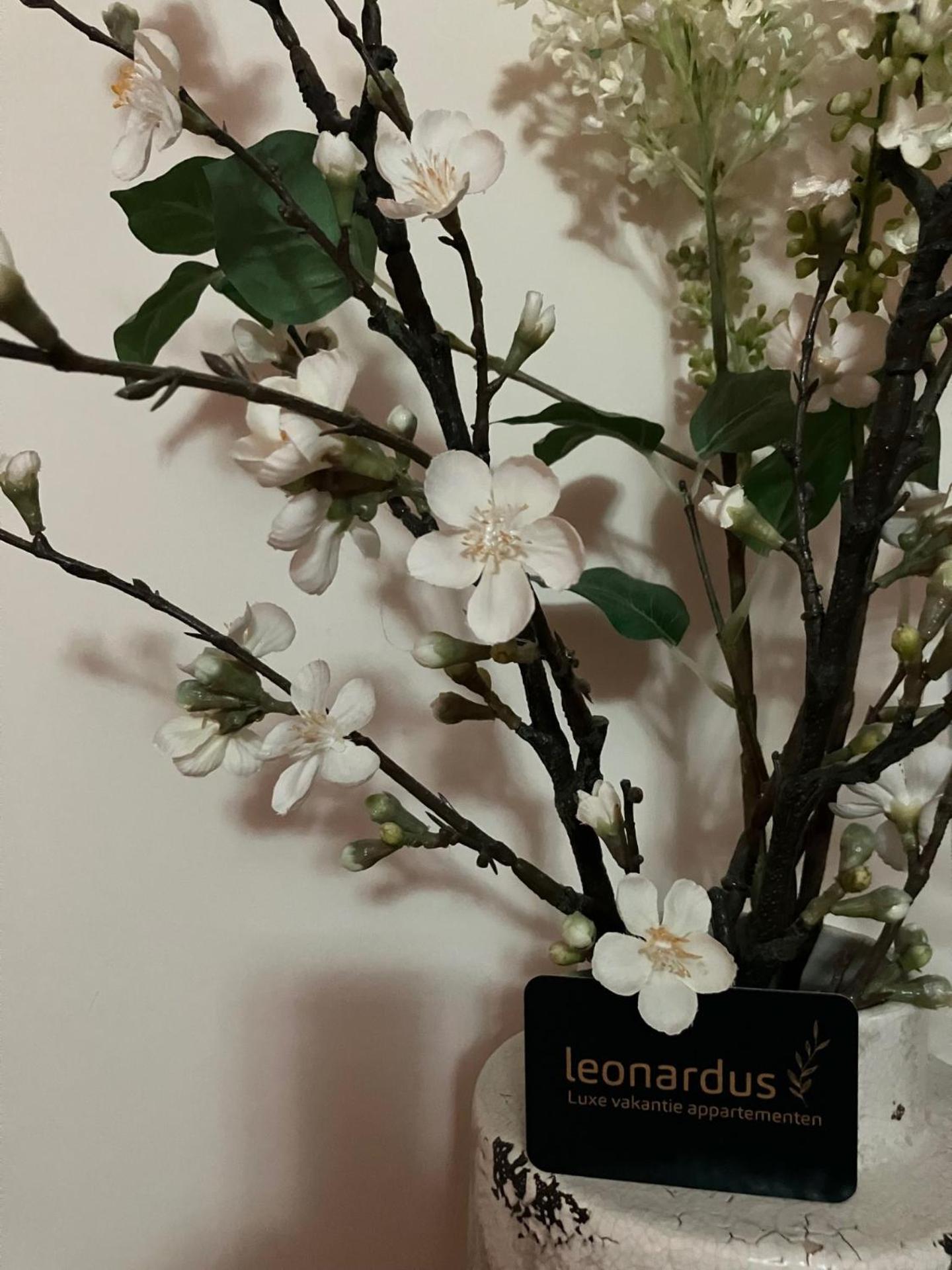 Luxe Appartementen Leonardus Valkenburg aan de Geul Luaran gambar